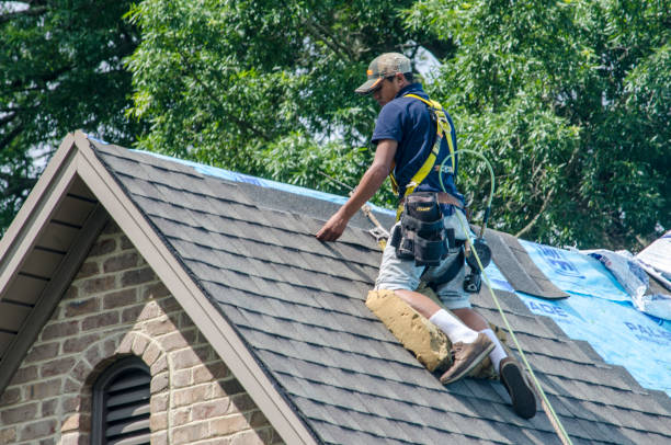 Best Roof Leak Repair  in Norris, TN